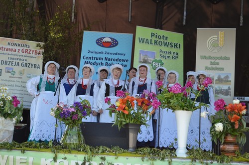 Wielkopolskie �wi�to Wsi