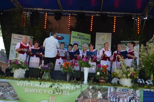 Wielkopolskie �wi�to Wsi