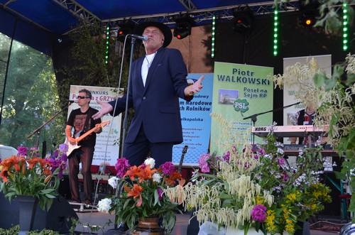 Wielkopolskie �wi�to Wsi