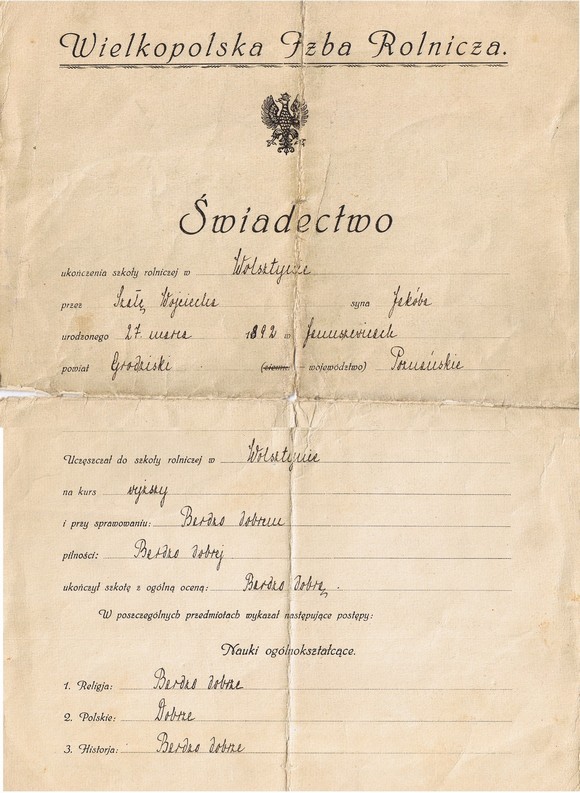 �wiadectwo szkolne