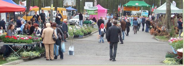 Targi w Opatówku